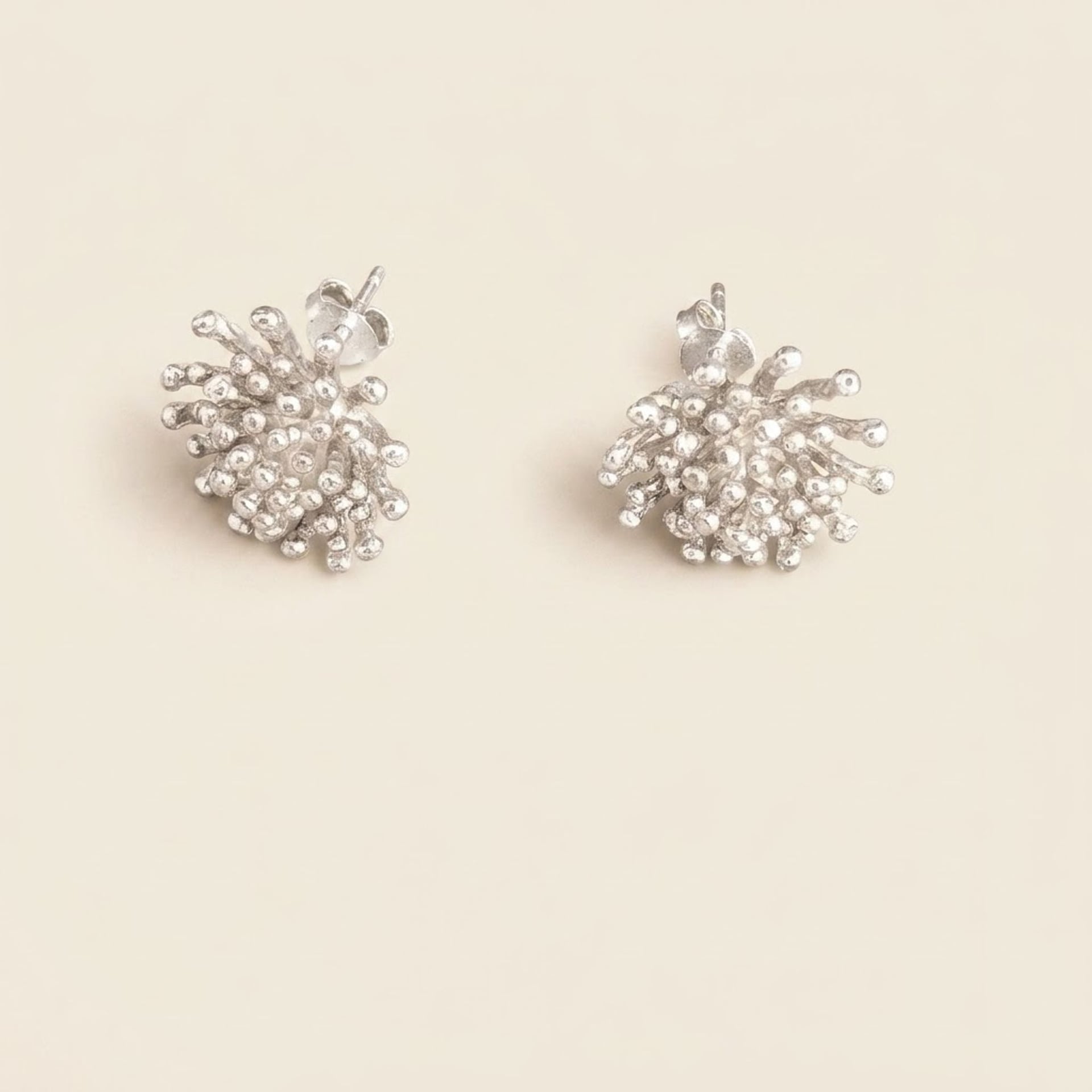 Silver Earrings — Excellent (M-) Earrings
