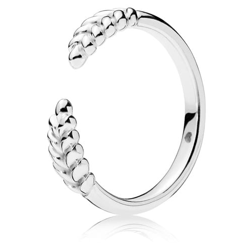 Open Grains Ring