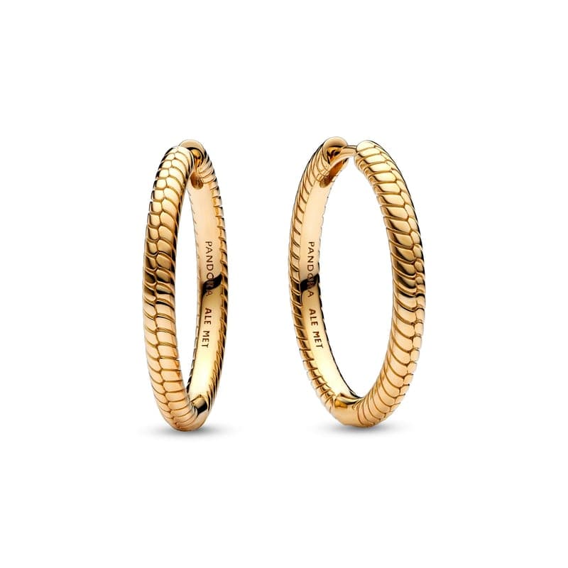 Pandora Moments Charm Hoop Earrings 269532C00 269532 — Foto 1 von 1