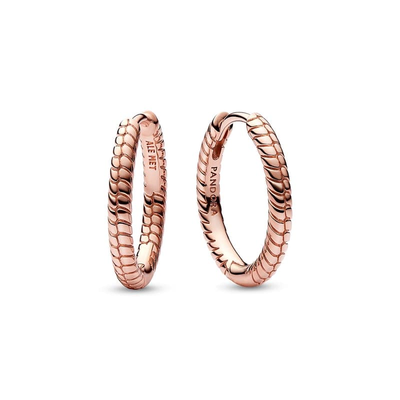 Pandora Moments Small Charm Hoop Earrings 282728C00 282728 — photo 1 of 1