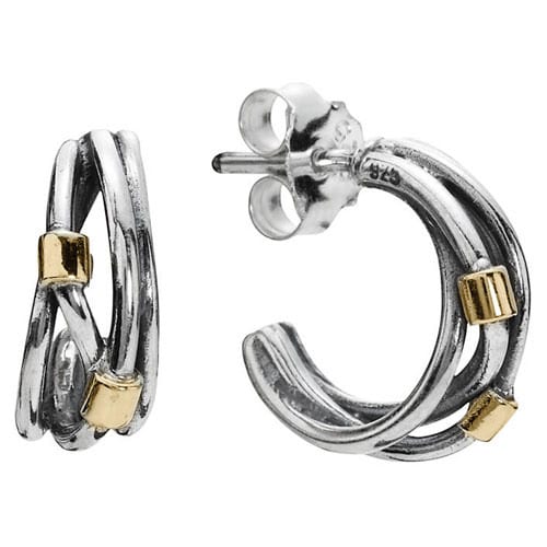 Silver Rope with Gold Earrings