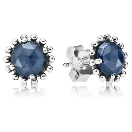 Shining Midnight Crystal Earrings