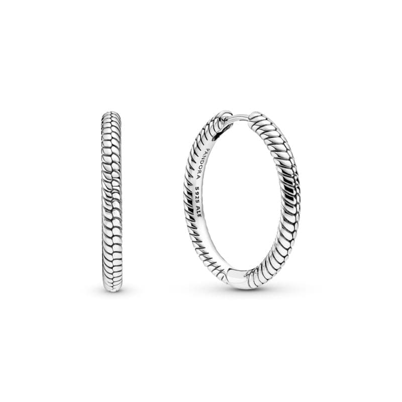 Pandora Charm Hoop Earrings 299532C00 299532 — photo 1 of 1