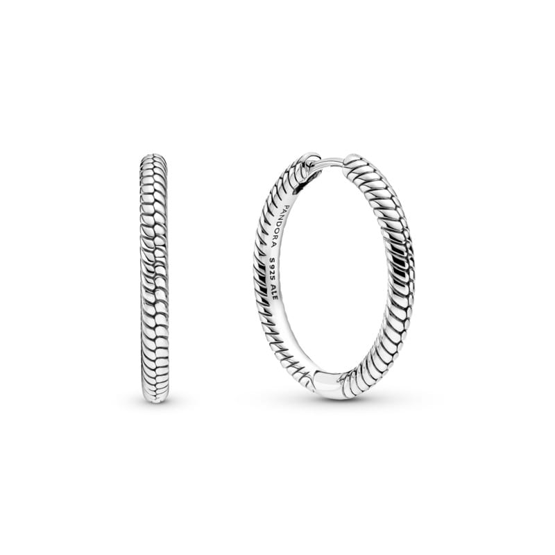 Charm Hoop Earrings