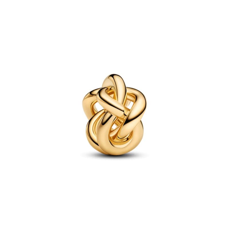 Pandora Infinity Knot Charm 763755C00 763755 — Foto 1 von 1