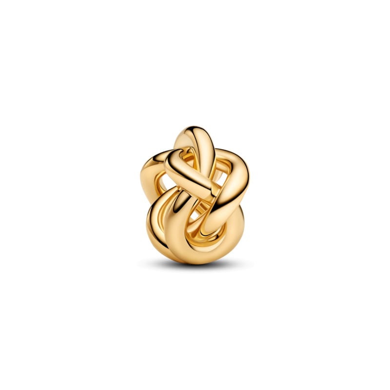 Infinity Knot Charm