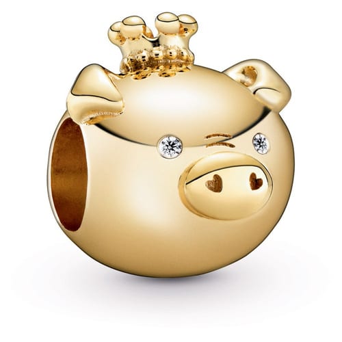 Shining Pig Charm
