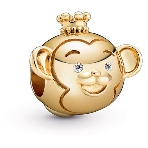 Shining Monkey Charm