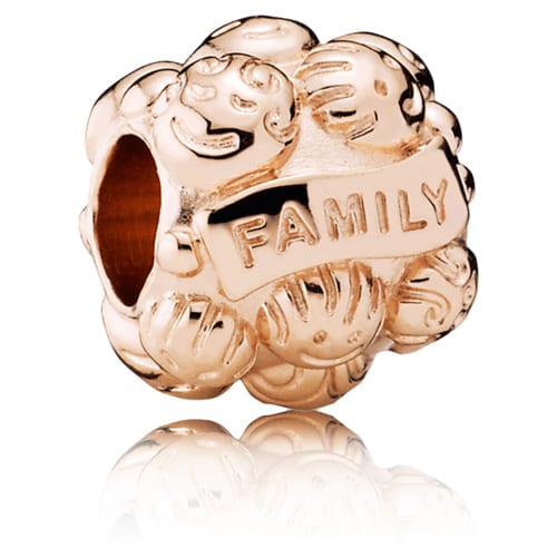 Pandora Rose Love & Family Charm