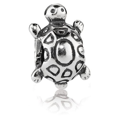 Turtle Charm