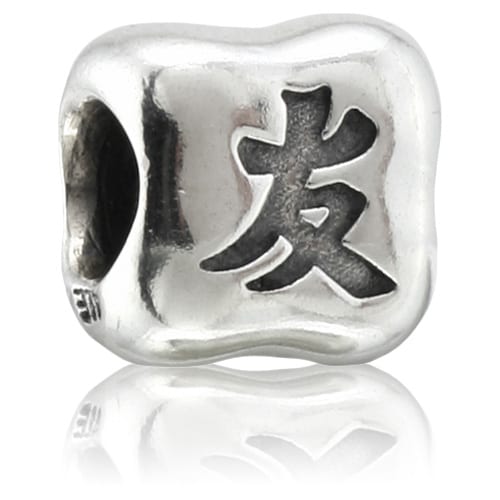 Chinese Friendship Charm