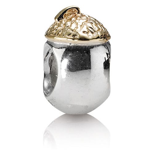 Acorn Charm