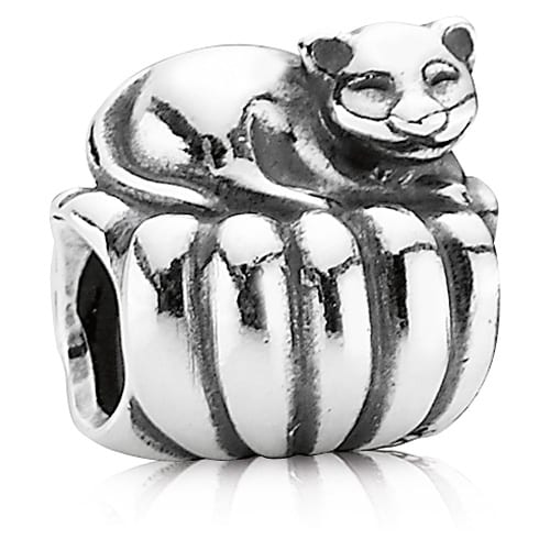Cozy Cat Charm