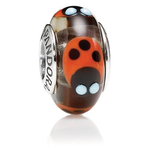 Cinnamon Ladybugs Charm