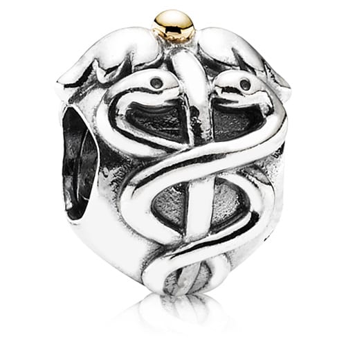 Life Saver Charm