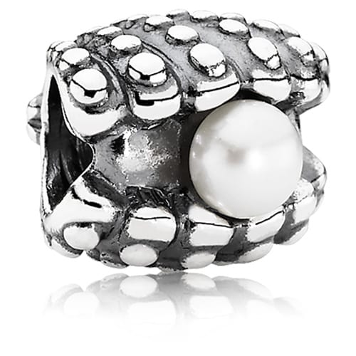 One of a Kind Shell Charm