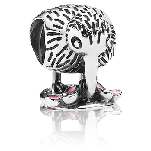 Kiwi Bird Charm