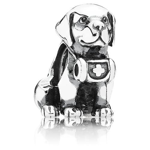 Mountain Dog Charm