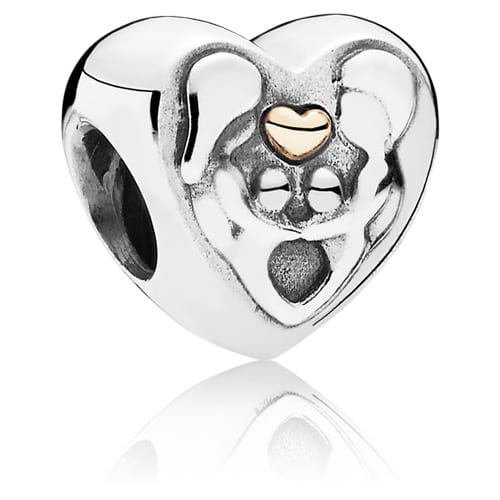 Heart of the Family Charm
