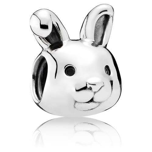 Remarkable Rabbit Charm