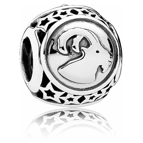 Capricorn Star Sign Charm