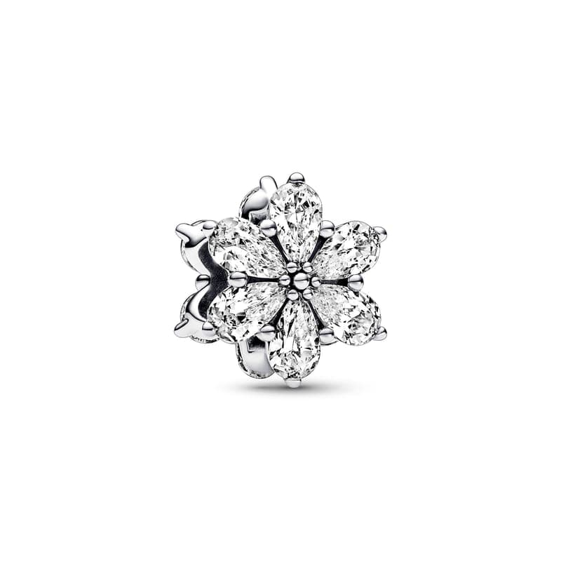 Pandora Sparkling Herbarium Cluster Charm 792623C01 792623 — photo 1 of 1