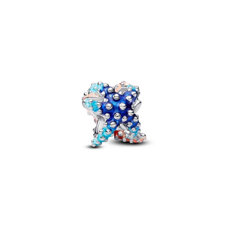 Colourful Starfish Mini Charm