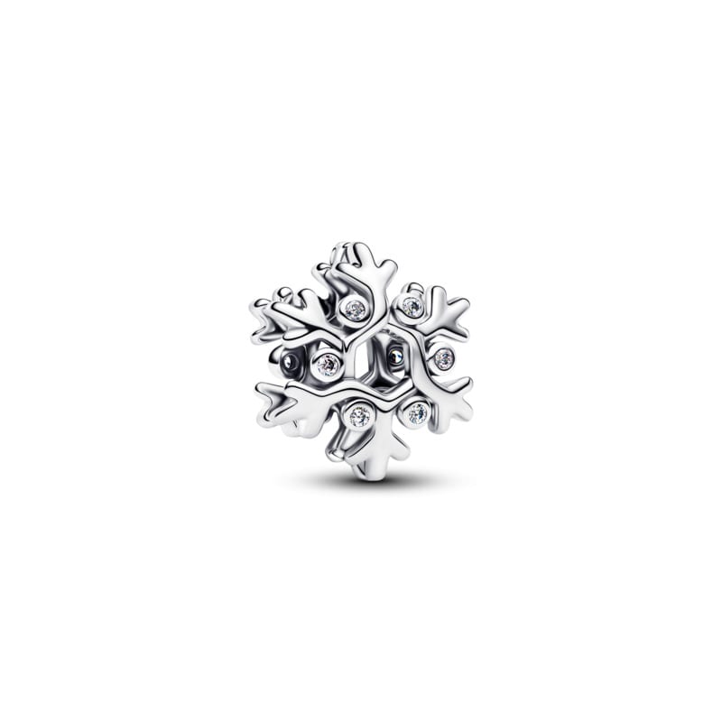Snowflake Charm