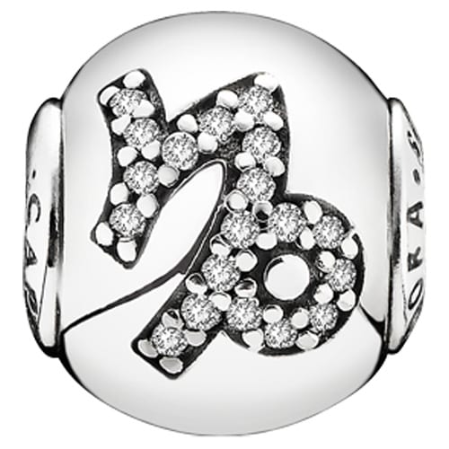 Essence Capricorn Zodiac Charm