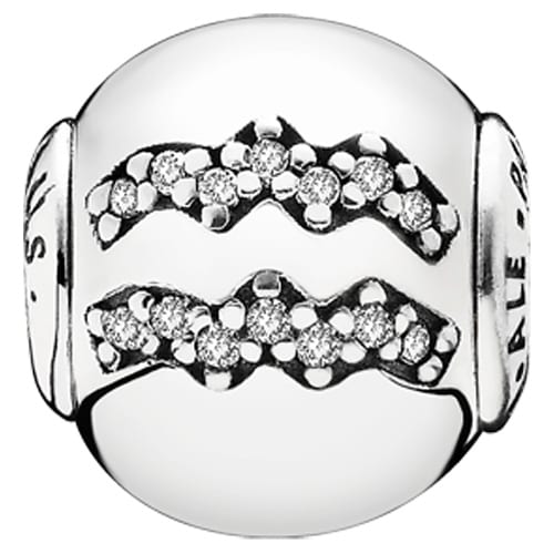 Essence Aquarius Zodiac Charm