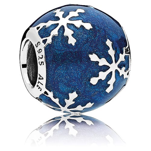 Wintry Delight Charm