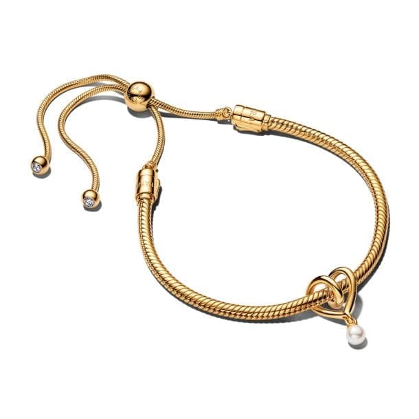 Pandora Golden Heart Bracelet Gift Set B802656 — Foto 1 von 1