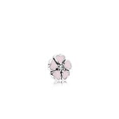 Cherry Blossom Petite Charm