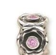 Pandora Sterling Silver Charm 79316PCZ 790316PCZ — Foto 1 von 1