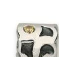 Pandora Golden Pond Charm 79336CCZ 790336CCZ — photo 1 of 1