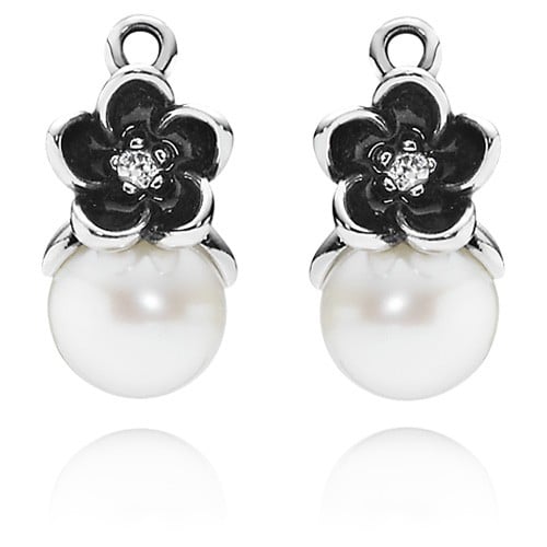 Earring Charms