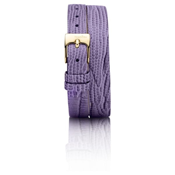 Interchangeable band, double oblong