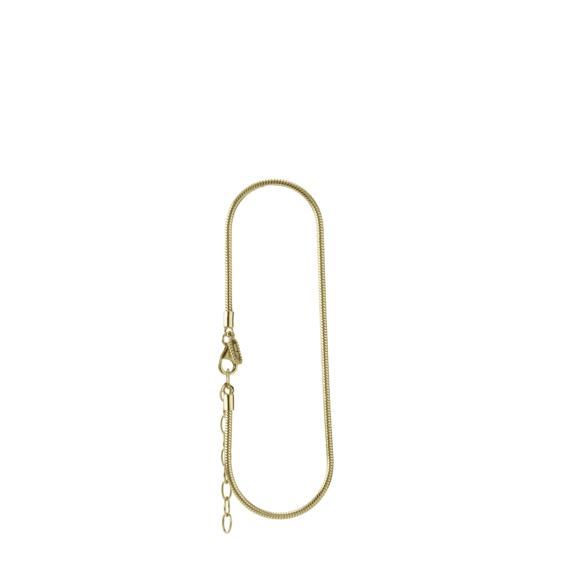 Gold Anklet