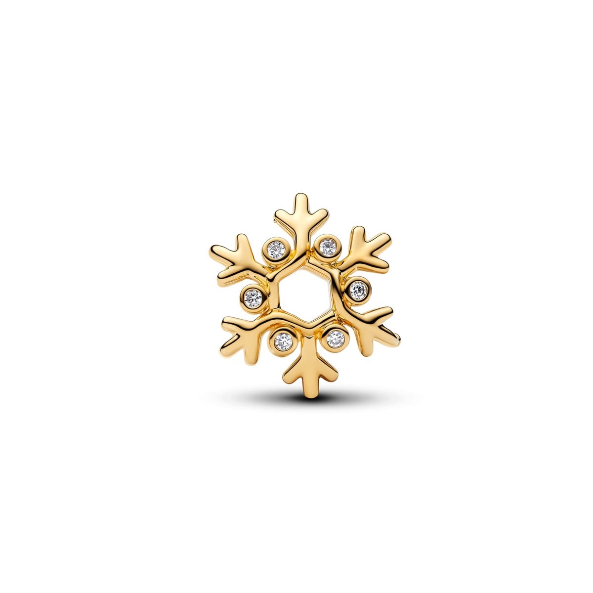 Snowflake Charm
