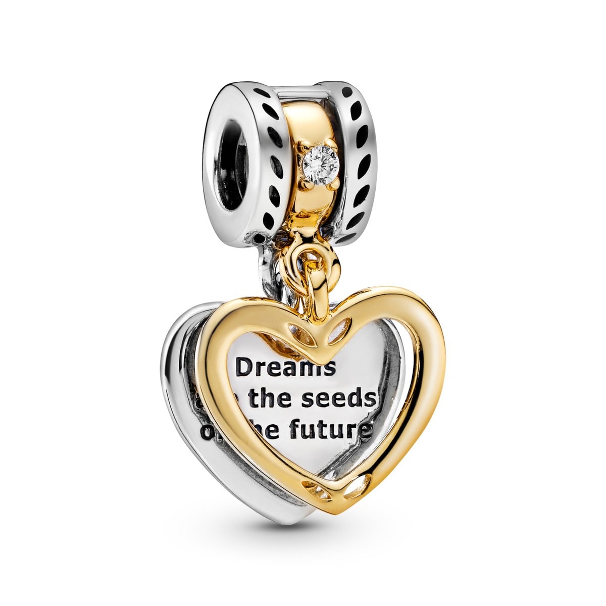 Seeds of the Future Split Heart Dangle Charm