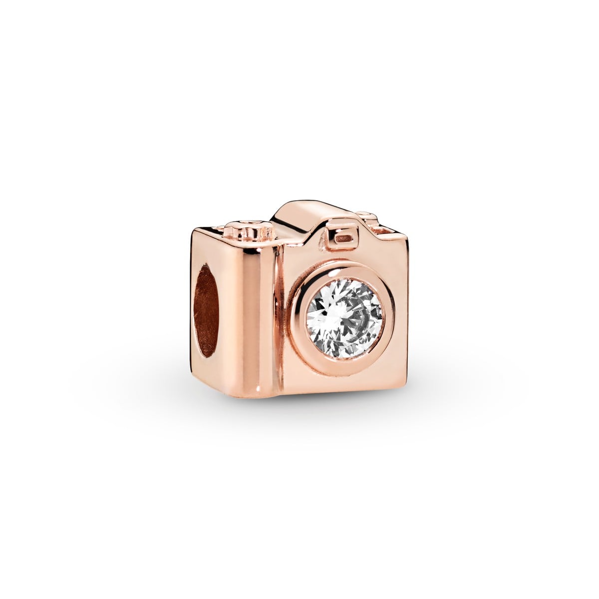 Sentimental Snapshot Charm