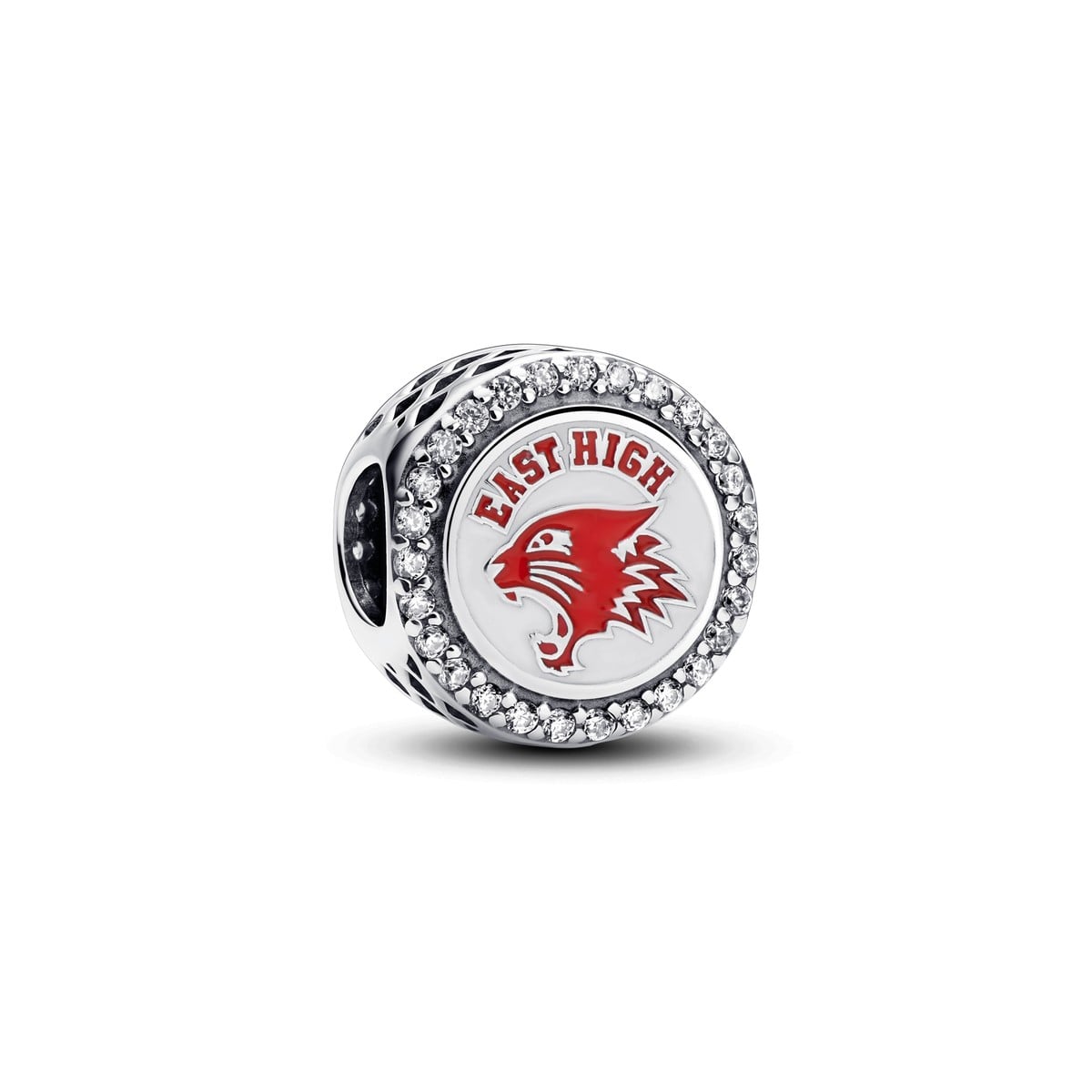 High School Musical East High Wildcats Charm