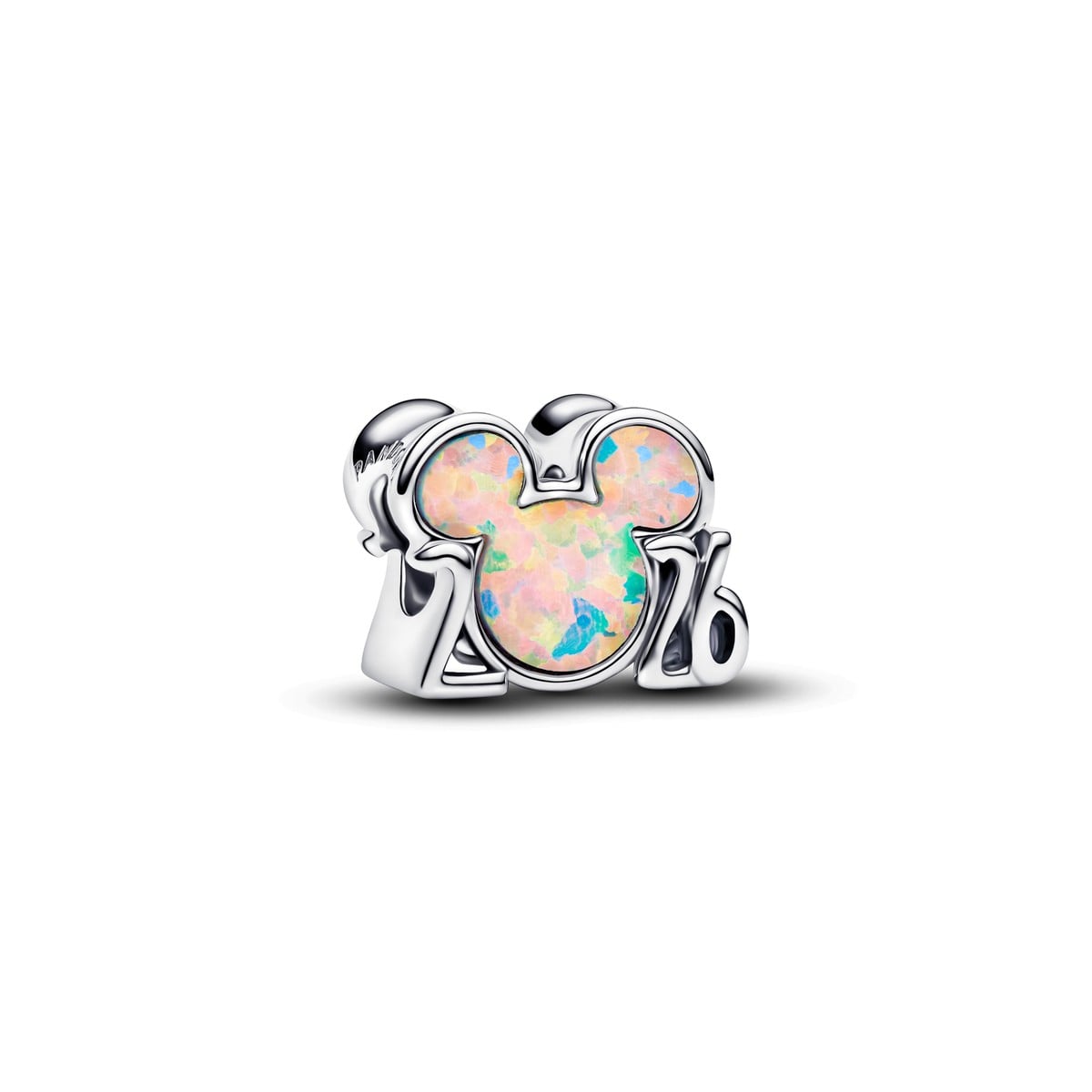 Disney Parks 2026 Charm
