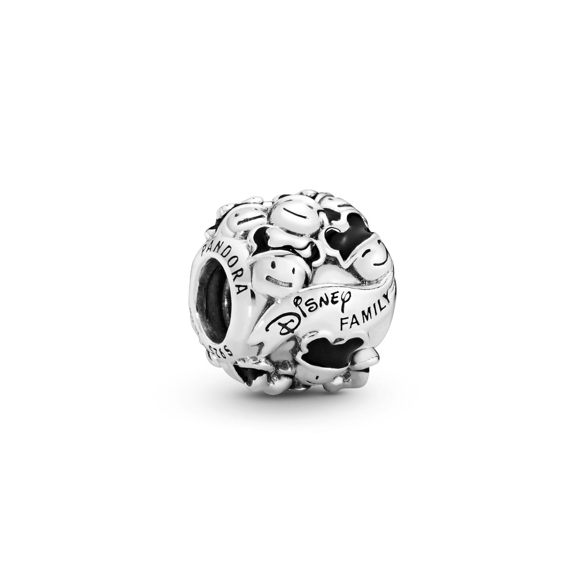 Disney Family Fun Charm