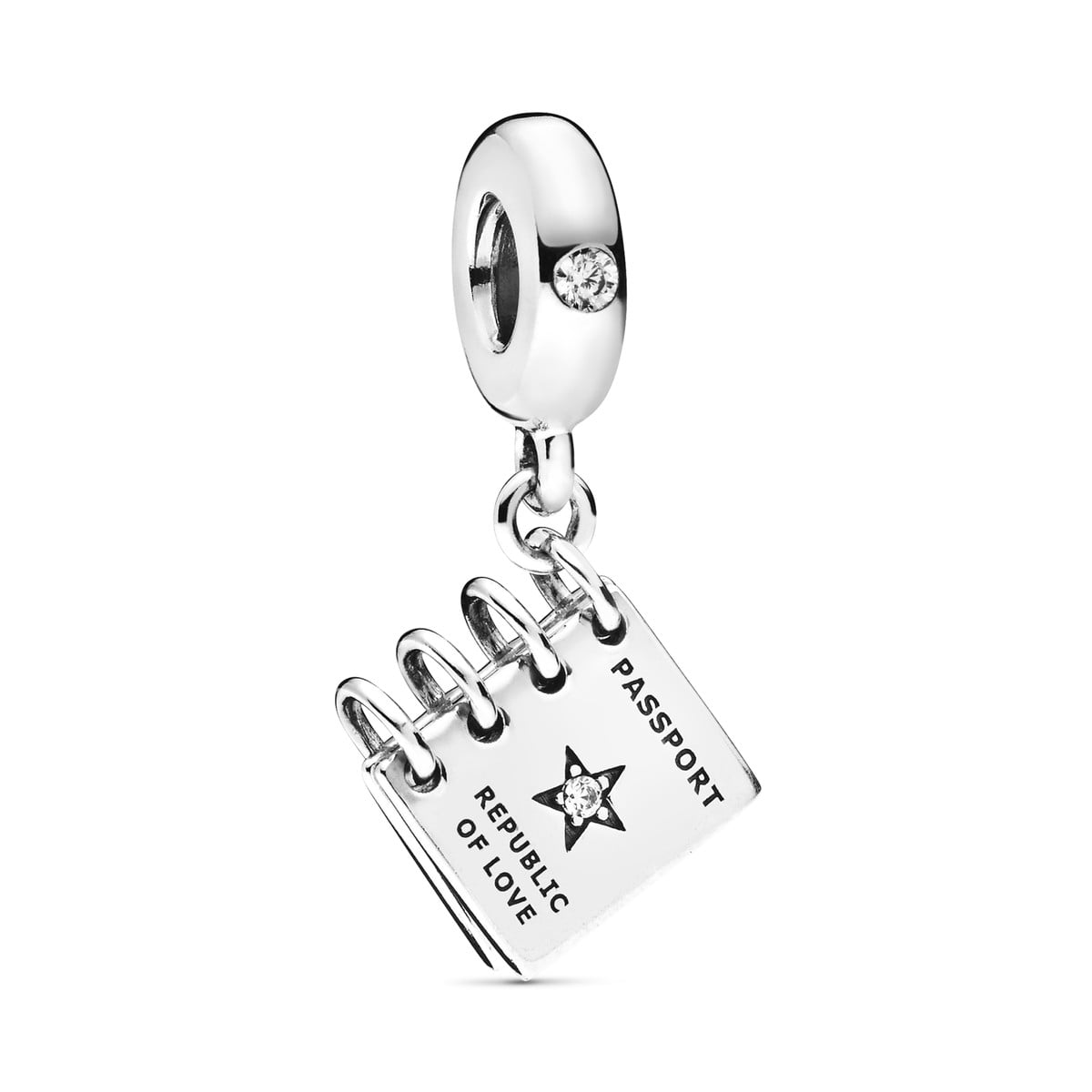 Passport Dangle Charm