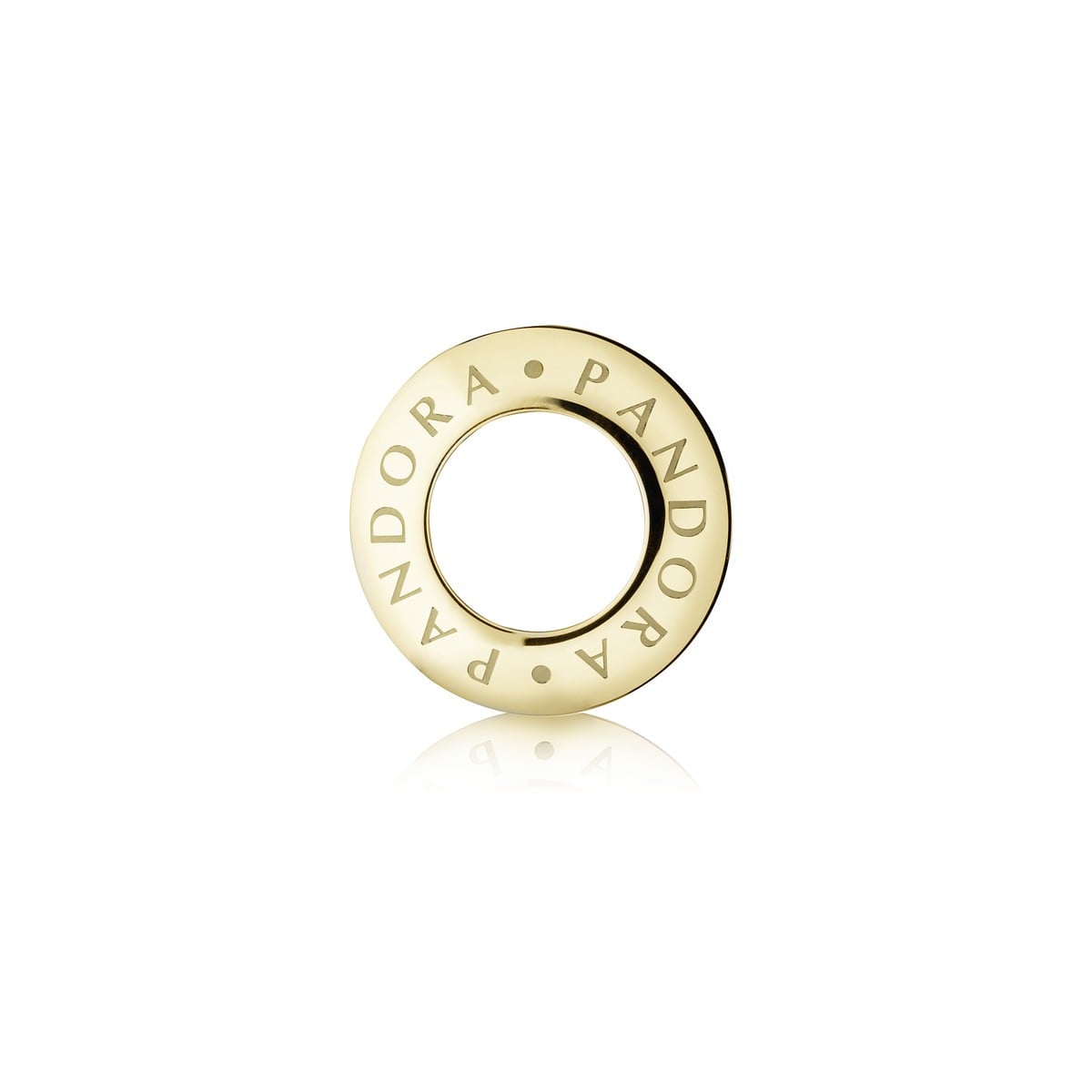 Bezel -Icon, IPG Steel w/logo, Interchangeable
