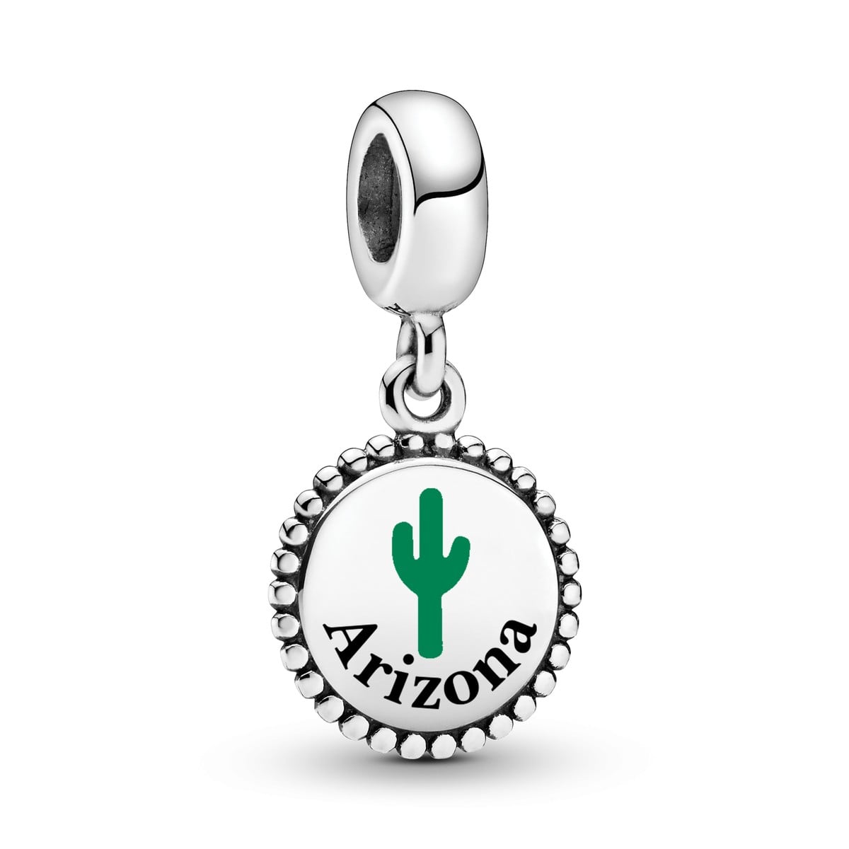 Arizona Cactus Dangle Charm