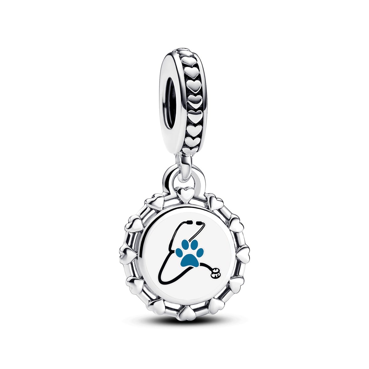 Engravable Veterinarian Dangle Charm