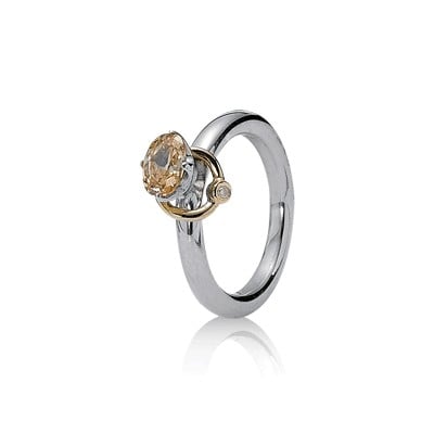 Reminder ring