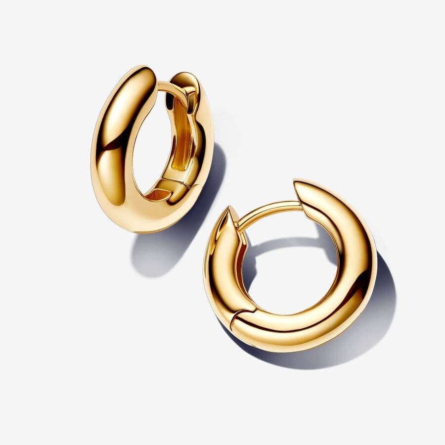 Pandora Round Hoop Earrings (14k Gold-Plated) 262924C00 262924 — photo 1 sur 1
